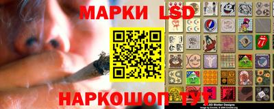 крисы Камышлов