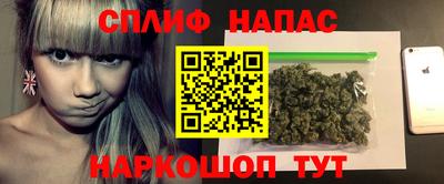 крисы Камышлов