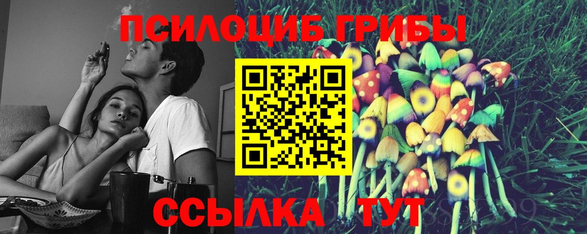 Псилоцибиновые грибы Psilocybe Лобня