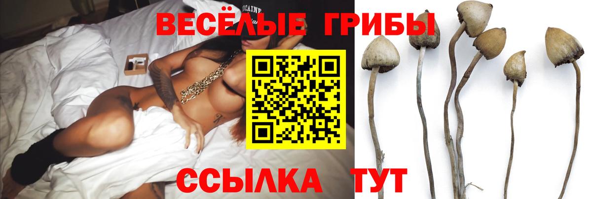 Псилоцибиновые грибы Magic Shrooms  цена   Лобня  Вход с VPN 